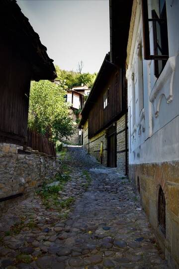 Фотографии Отель Hotel Bilyana г. Lovech (Болгария) №3 Фото Отель Hotel Bilyana г. Lovech 3
